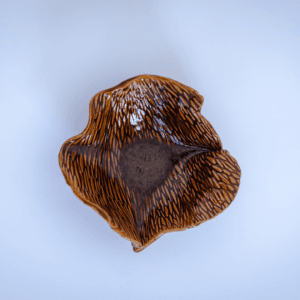 Ręcznie wykonana ceramiczna miseczka w kształcie liścia ginko, w kolorze brązowym, idealna jako ozdoba