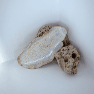 Ręcznie wykonana ceramiczna podstawka w kształcie liścia, w kolorze białym, idealna na biżuterie lub kadzidło